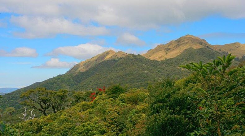 Mt. Pulag, Benguet/Nueva Vizcaya, Philippines